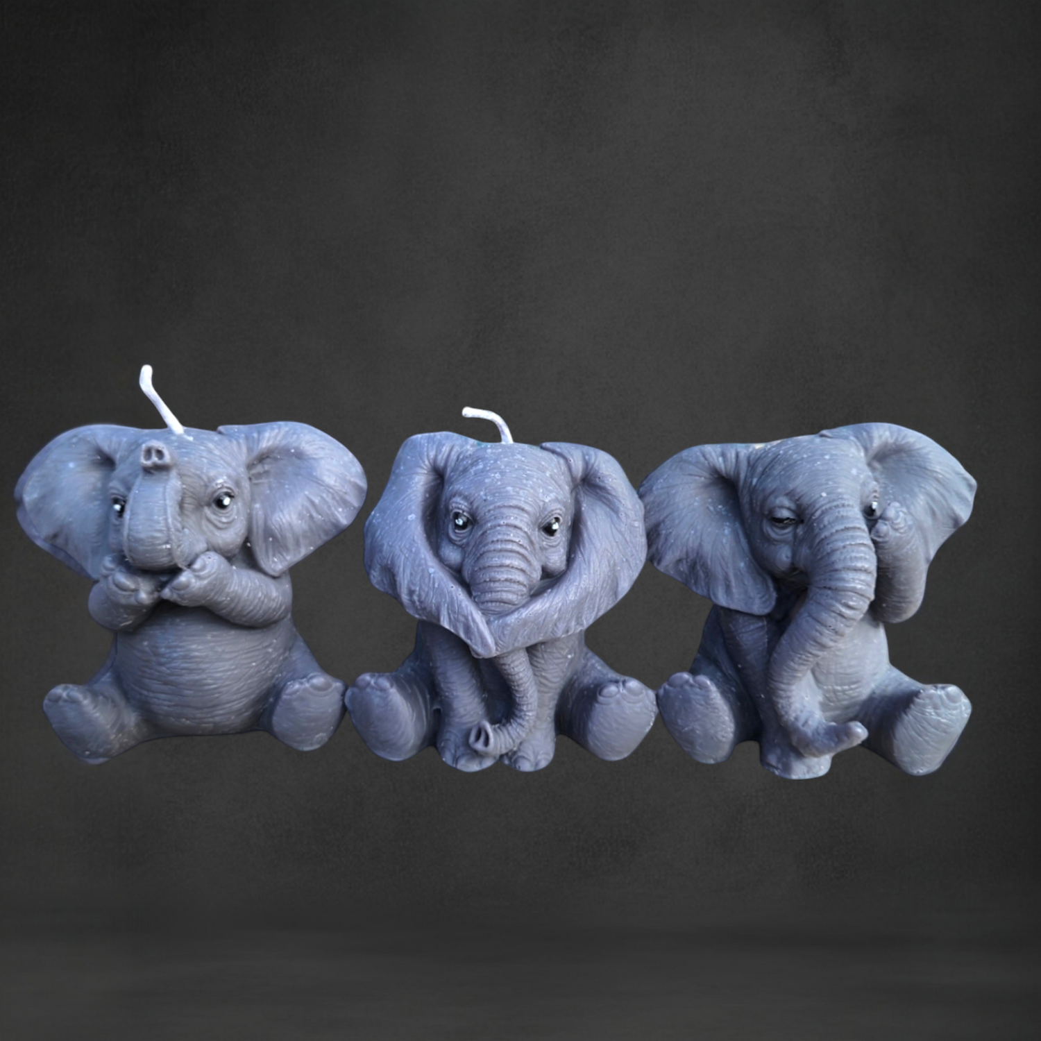 Wild Whimsy - Animal Inspired